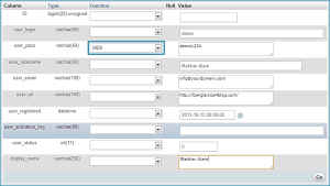 insert-info-wp_users-table